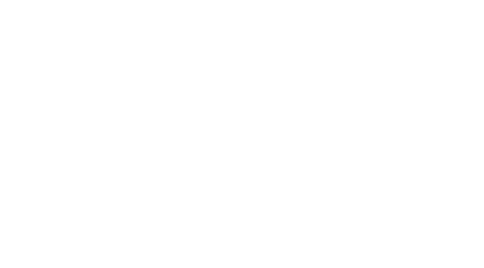 ysev - logotip blanc